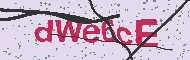 Güvenlik Kodu