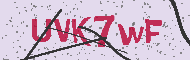 Güvenlik Kodu